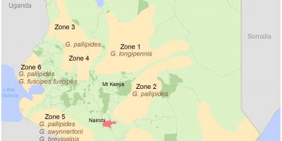 Кения институт геодезии и картографии курсы